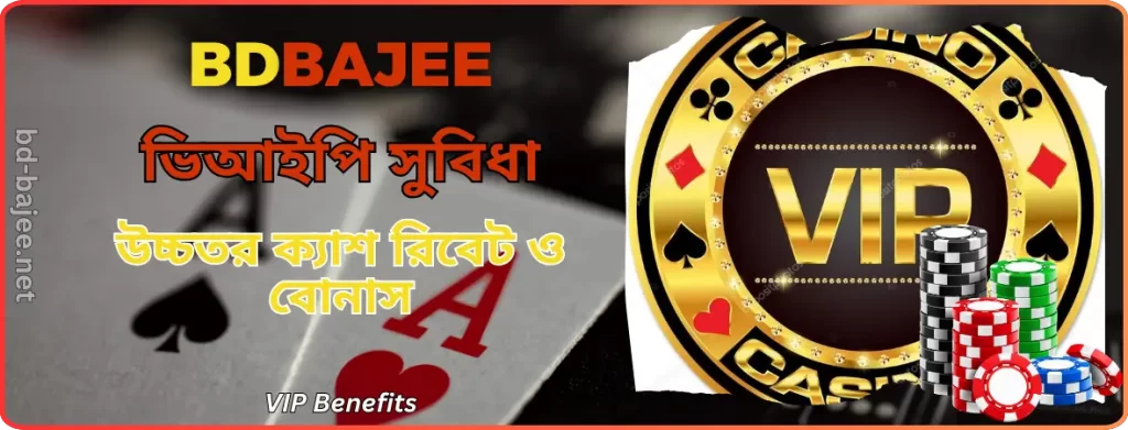 BDBAJEE ভিআইপি সুবিধা | BD BAJEE - উচ্চতর ক্যাশ রিবেট ও বোনাস
